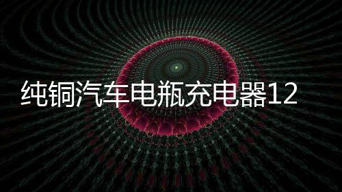 纯铜汽车电瓶充电器12V24V伏大功率全智能充满自动停通用型多功能