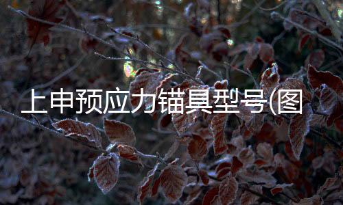国产替代/索尔维IxefPARA102250GF玻璃纤维增强高刚性高光泽耐蠕变