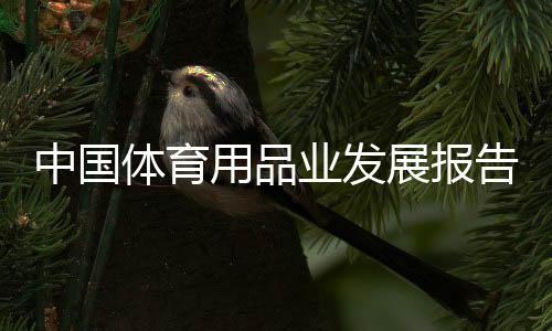 中国体育用品业发展报告：行业展现较强经济韧性
