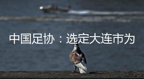 中国足协:选定大连市为中国队世预赛9月份主场承办城市