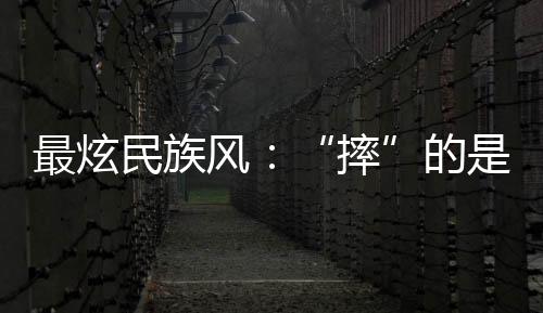 最炫民族风:“摔”的是力量与技巧,“跤”的是朋友