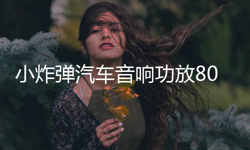 小炸弹汽车音响功放800W单路功放带灯纯低音功放带线控高低电平