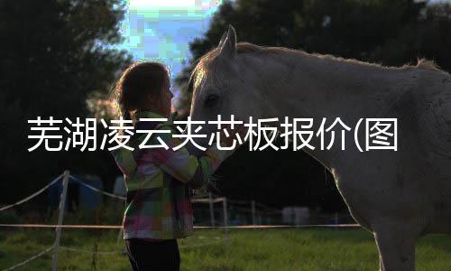 DuPontZytel®70G30HSLRZytel®70G30HSL30玻璃纤维增强