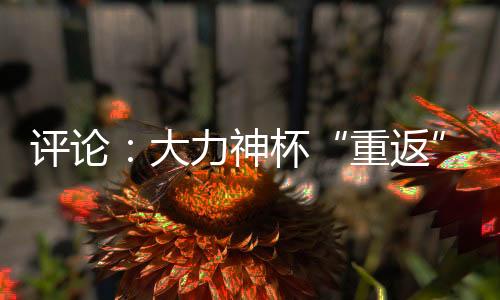 评论:大力神杯“重返”中国,中国男足何时重返世界杯?