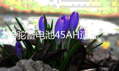 骆驼蓄电池45AH适配五菱宏光吉利QQ金刚熊猫长城M4M2原装汽车电瓶