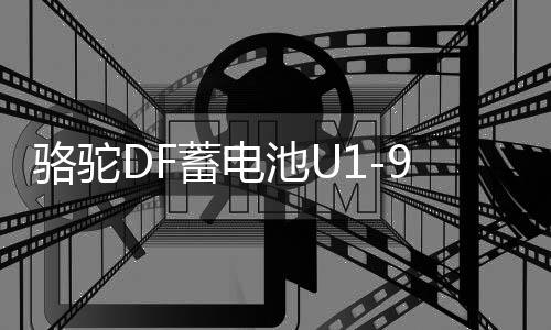 骆驼DF蓄电池U1-9割草机旋耕微耕机路面切割机发电机12V24AH电瓶