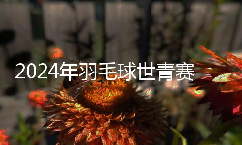 2024年羽毛球世青赛:印尼队战胜中国队夺团体赛冠军
